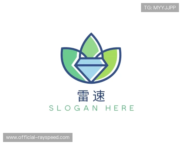 了解雷速部门